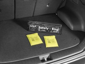 accessories_safety_bag
