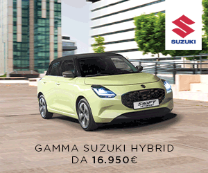 GAMMA-10L300x250